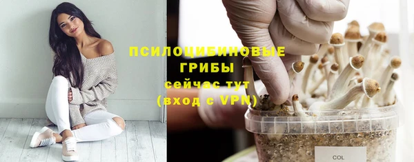 метадон Коряжма