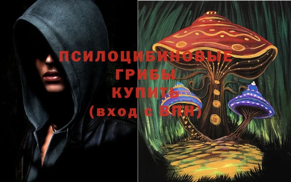 метадон Коряжма