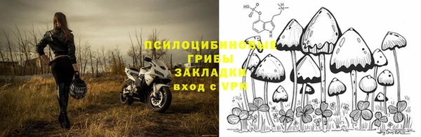 метадон Коряжма